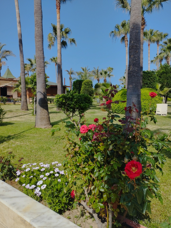 Замечательный отель, отличный отдых)