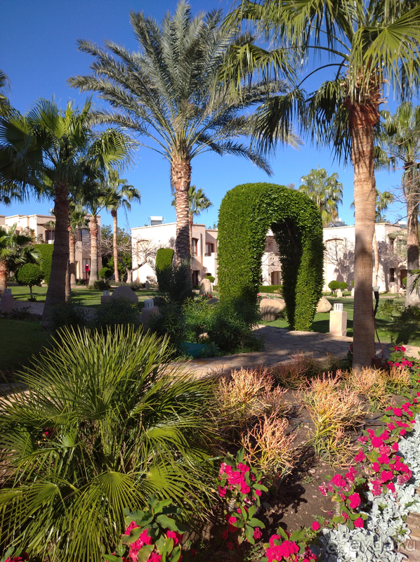 Случайный отель оказался шикарным