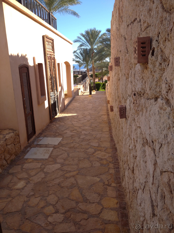 Случайный отель оказался шикарным