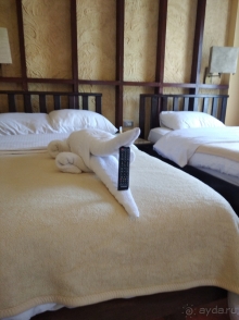 Случайный отель оказался шикарным