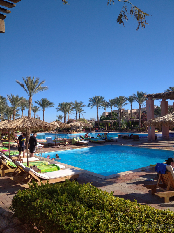 Случайный отель оказался шикарным