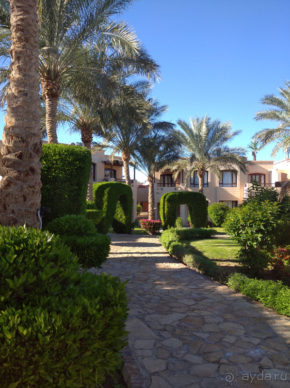 Случайный отель оказался шикарным