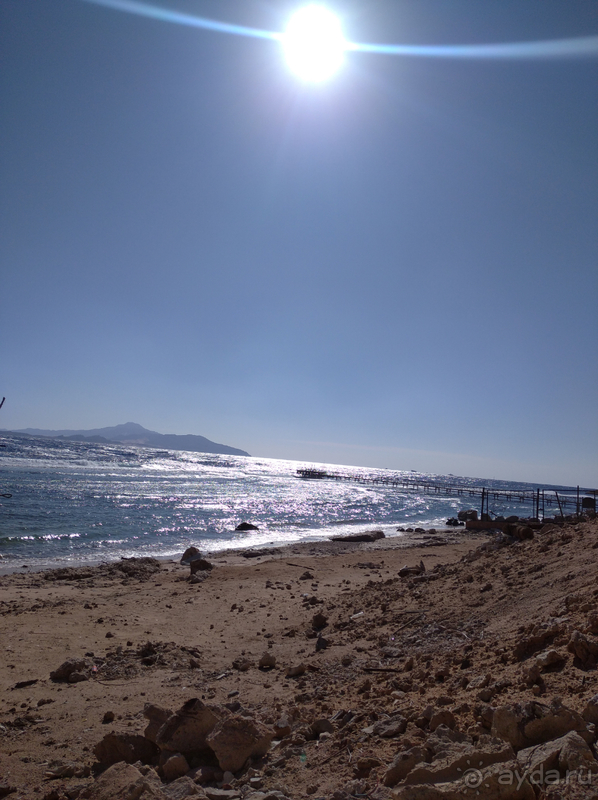 Случайный отель оказался шикарным