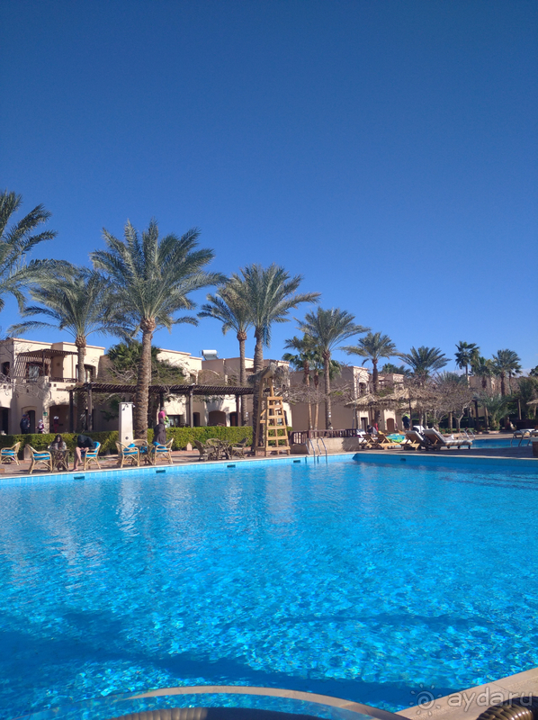 Случайный отель оказался шикарным