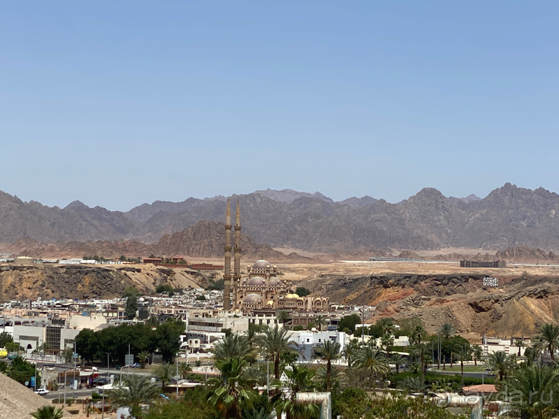 Отель для ознакомления с коралловым рифом