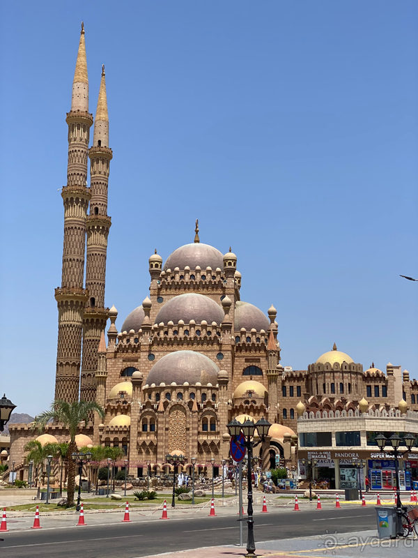 Отель для ознакомления с коралловым рифом