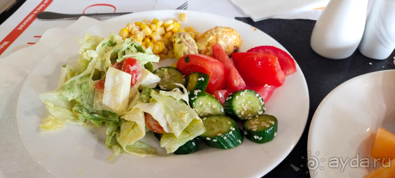 Проездка к Мертвому морю в Иордании