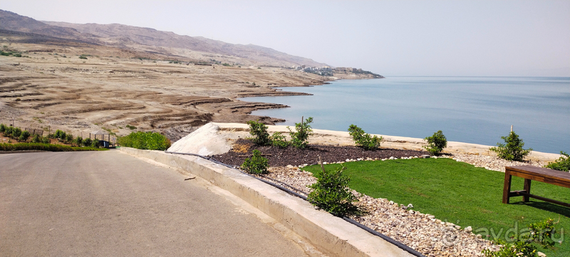 Альбом отзыва "Проездка к Мертвому морю в Иордании"