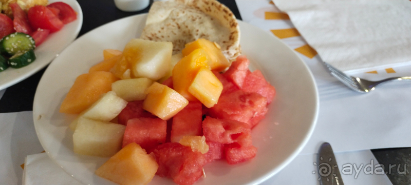 Проездка к Мертвому морю в Иордании