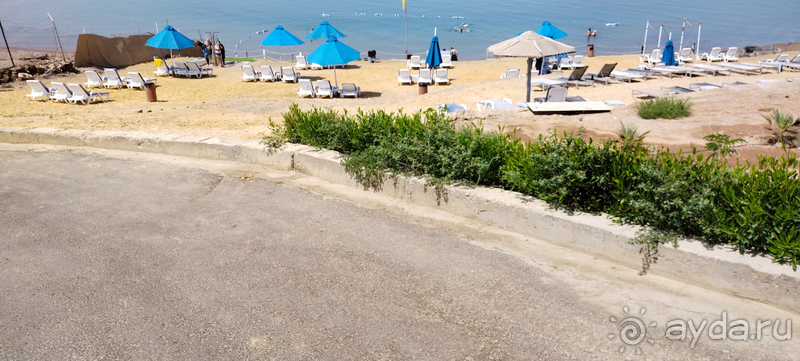 Проездка к Мертвому морю в Иордании