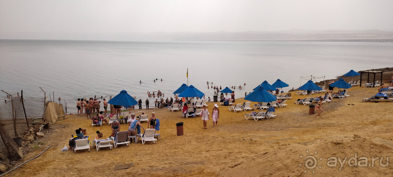 Проездка к Мертвому морю в Иордании