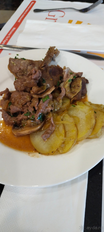 Проездка к Мертвому морю в Иордании