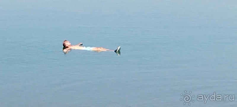 Проездка к Мертвому морю в Иордании