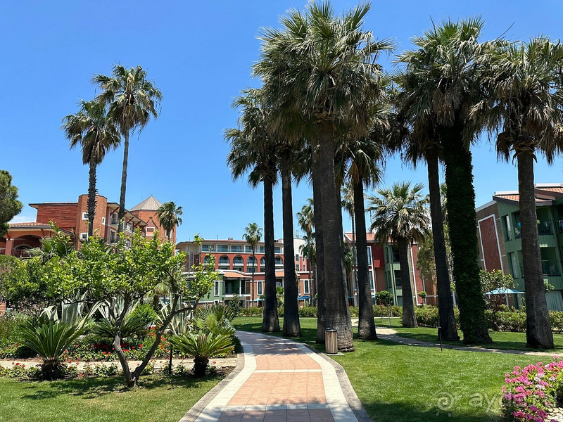 фото Club Megasaray