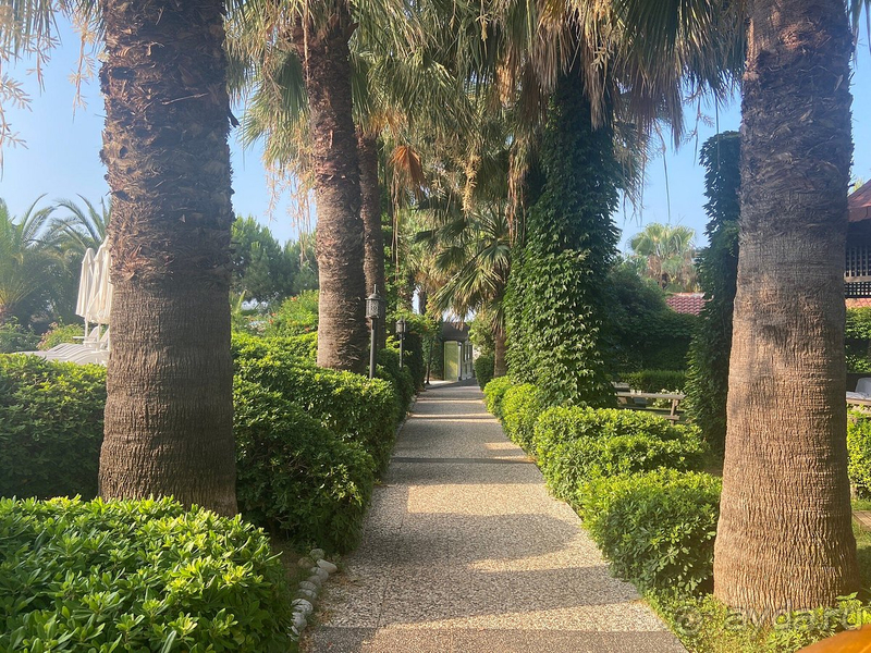 Отличный отель для отдыха, все необходимые сервисы в наличии