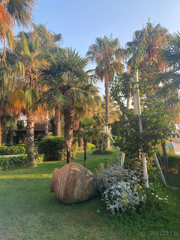 Отличный отель для отдыха, все необходимые сервисы в наличии