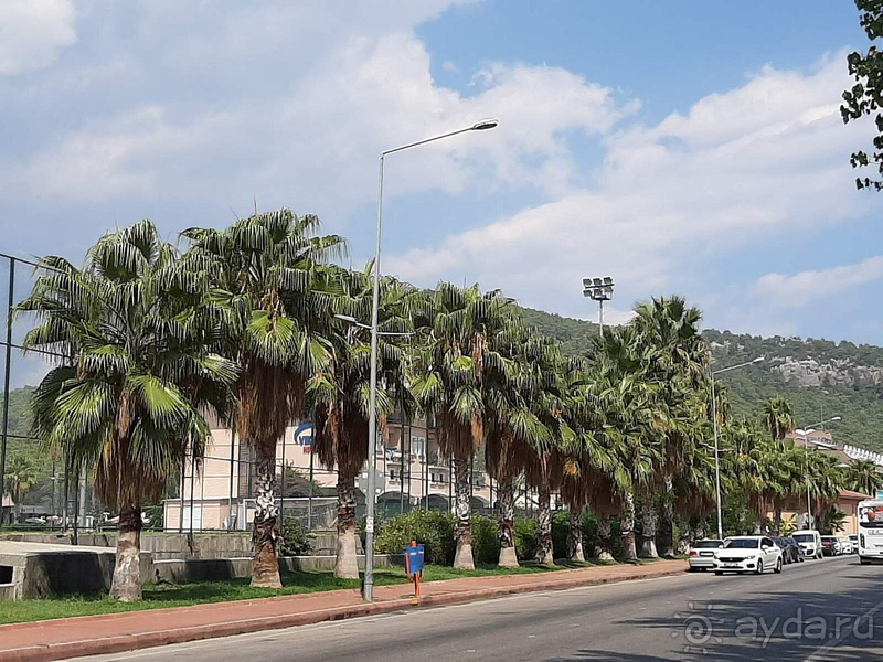 Отличный Отель Viking Park Hotel 4* !