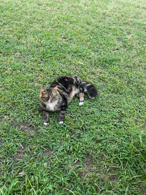 Отличный Отель Viking Park Hotel 4* !