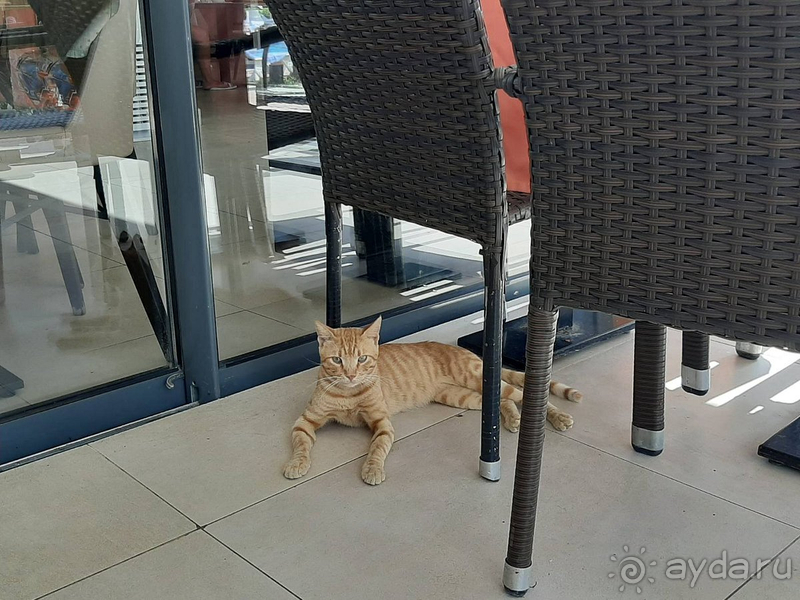 Отличный Отель Viking Park Hotel 4* !