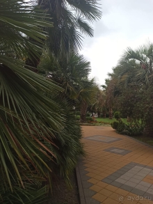 Отель рекомендую