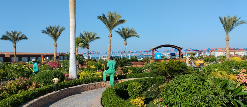 Отель в Хургаде