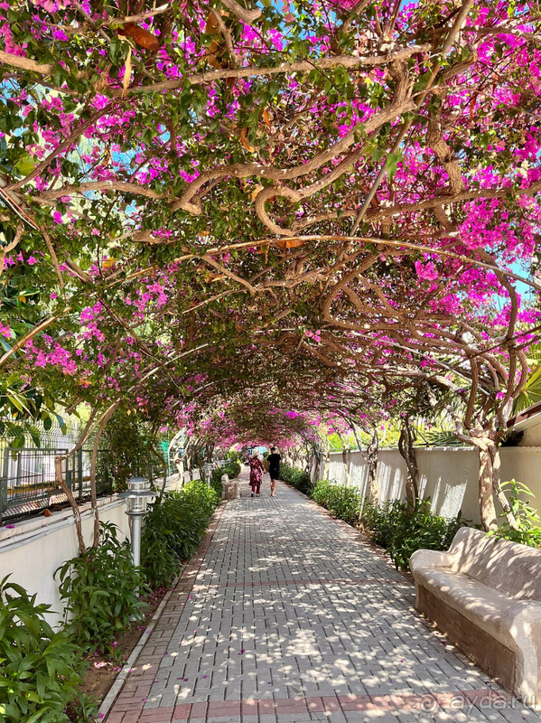 Все прекрасно, но не за эти деньги Все прекрасно, но не за эти деньги