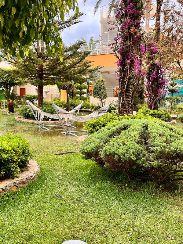 Все прекрасно, но не за эти деньги Все прекрасно, но не за эти деньги