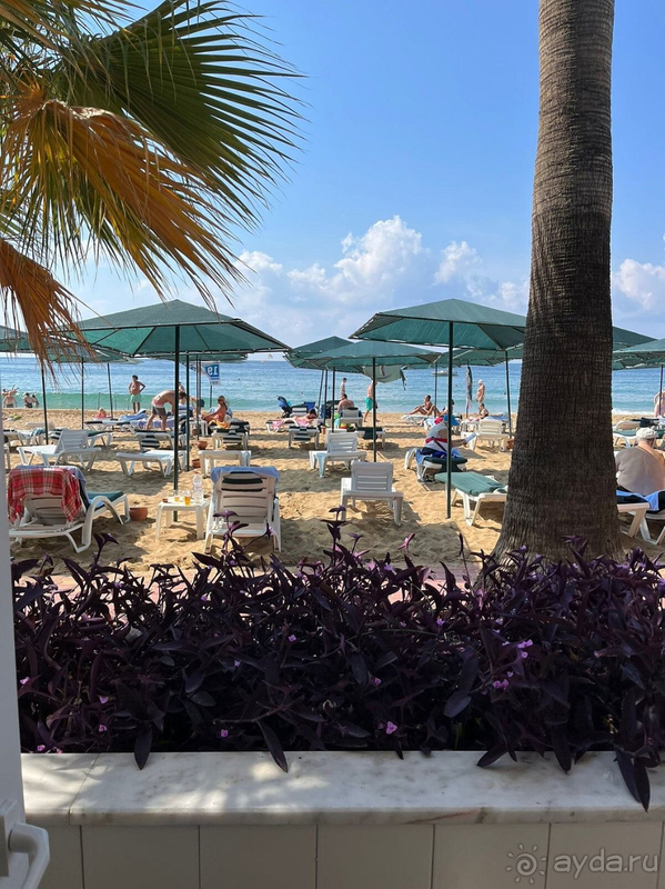 Неделька на двоих