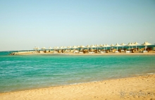 Coral мир мечты