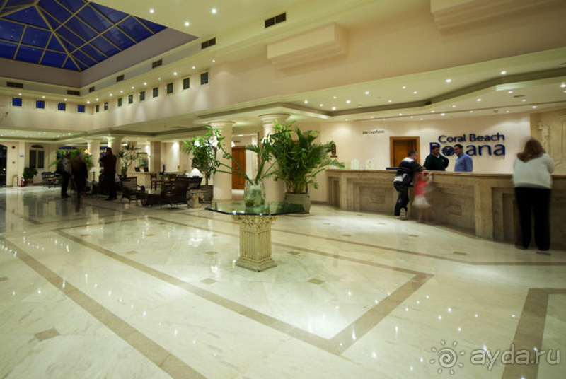 Coral мир мечты