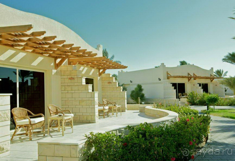 Coral мир мечты