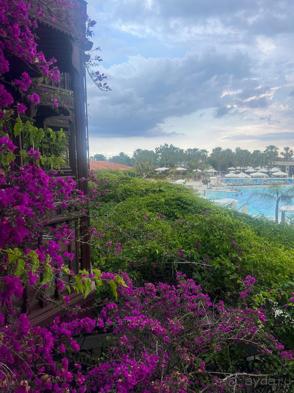 Ну такое себе…