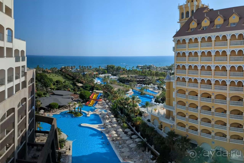 Прекрасный Melas Lara!