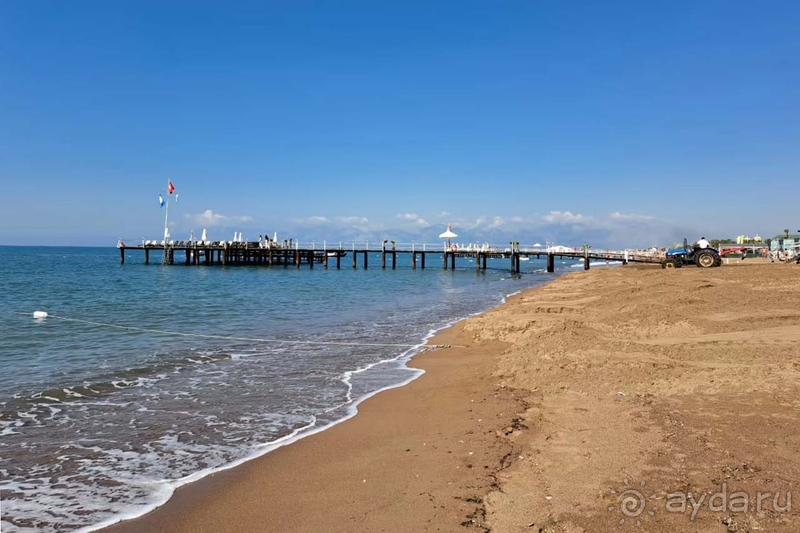 Прекрасный Melas Lara!