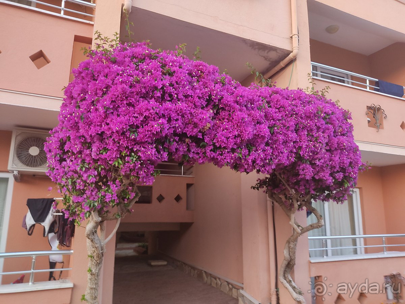 Отличный семейный отдых в Лонисере