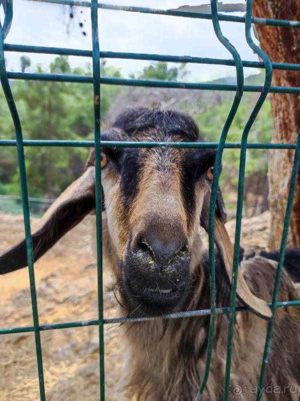 Отдых в Nirvana