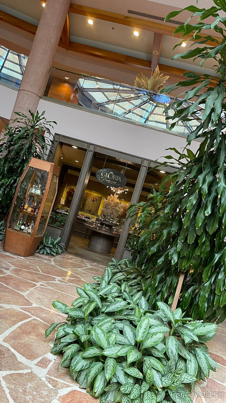 Мы нашли свой идеальный отель!