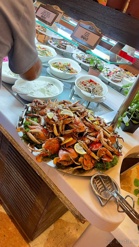 Мы нашли свой идеальный отель!