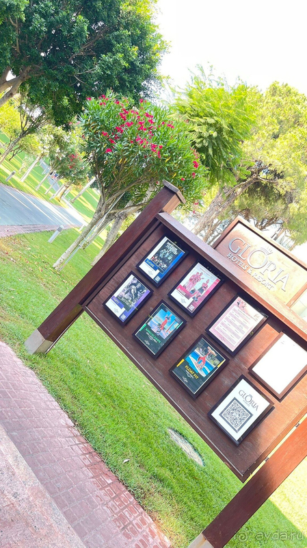 Мы нашли свой идеальный отель!