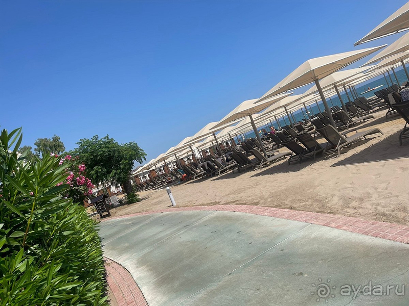 Мы нашли свой идеальный отель!