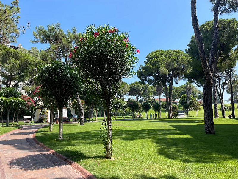 Мы нашли свой идеальный отель!