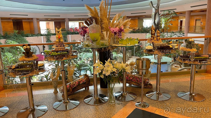 Мы нашли свой идеальный отель!