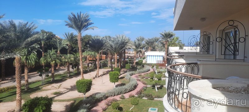 фото Хургады