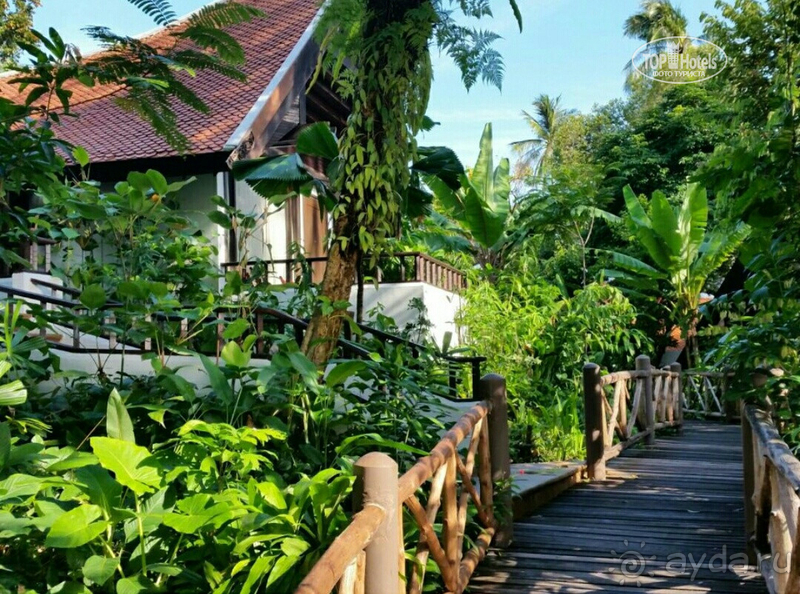 Шикарный отель В Таиланде