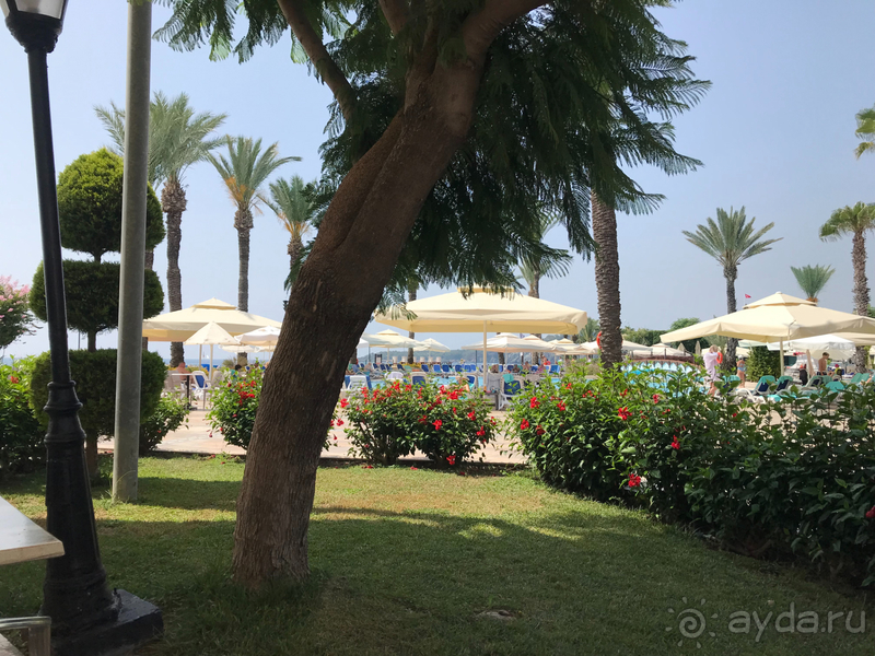 Замечательный отель