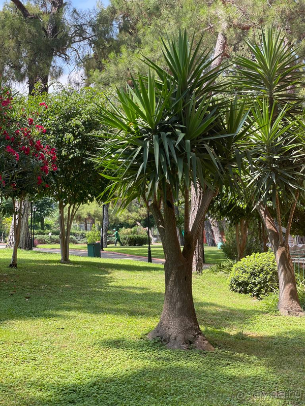 Замечательный отель