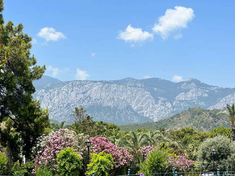 Замечательный отель