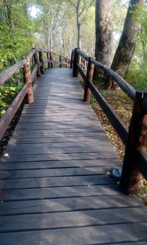 Санаторий "Белая Русь", Туапсе 