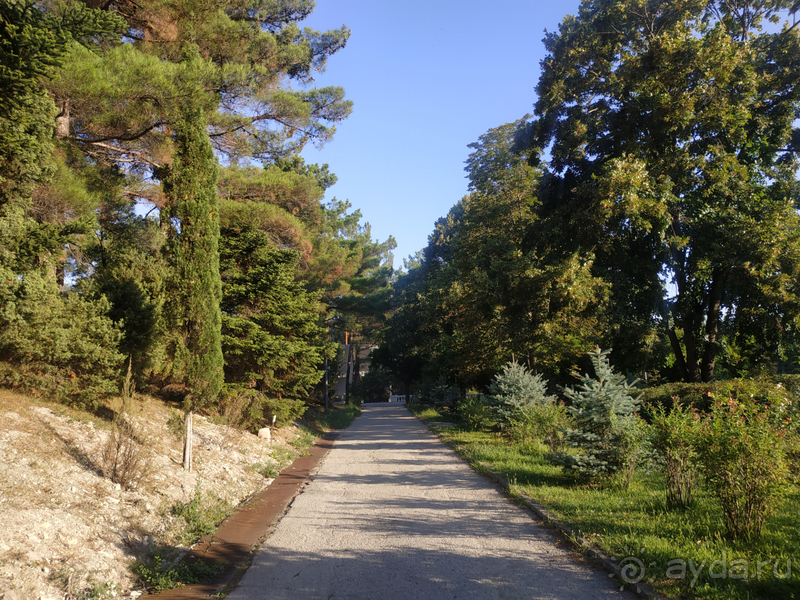 фото Голубая даль