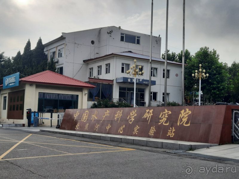 Отель Золотое море Бэйдайхэ, впечатления